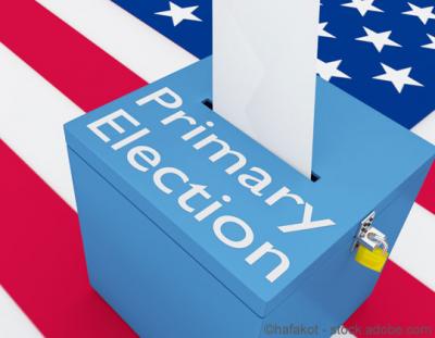 primary_elections 